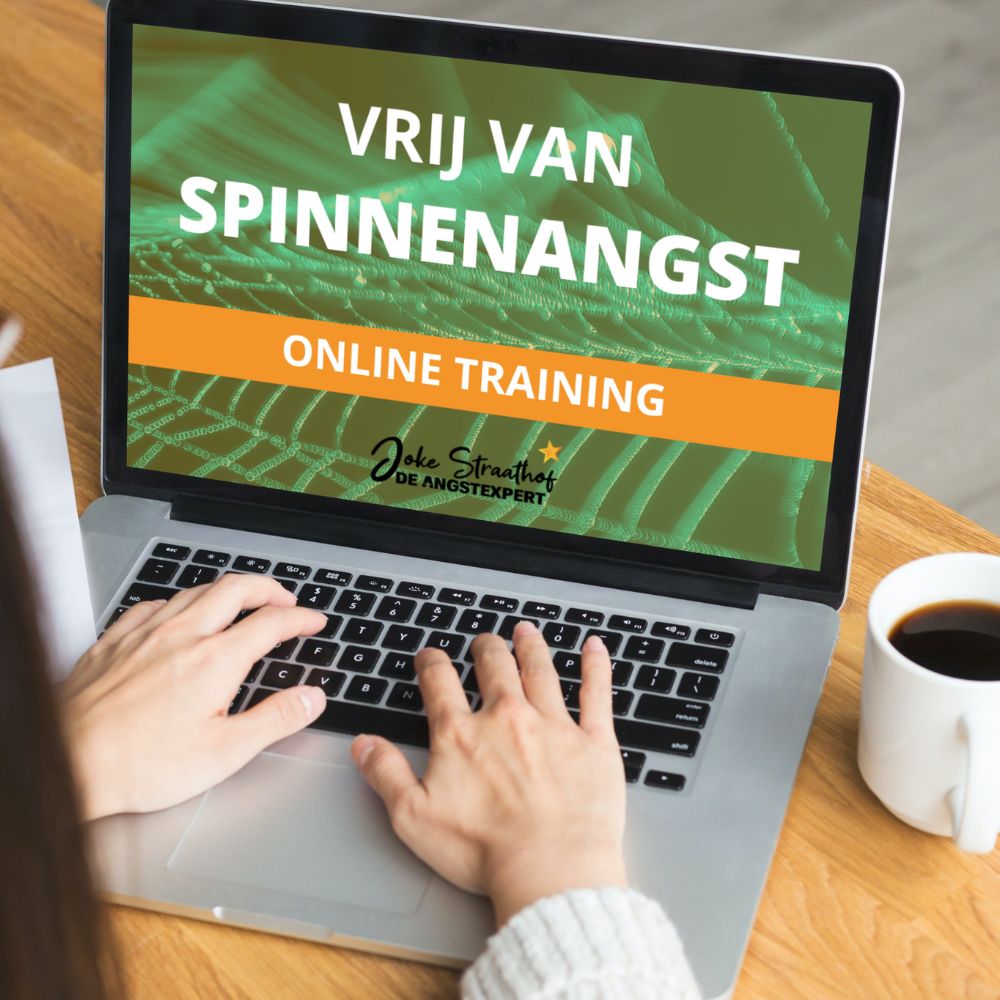 Online training – Vrij Van Spinnenangst